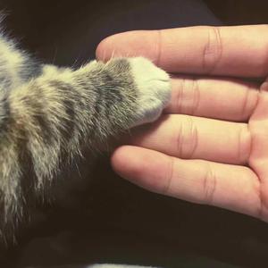 没戴乳罩被同桌c了一节课视频
